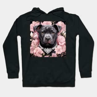 Blue Nose Pit Bull Hoodie